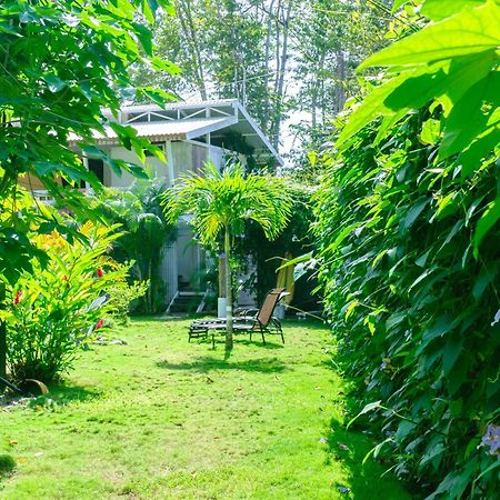 Olivia Del Caribe Suite Puerto Viejo de Talamanca Eksteriør billede