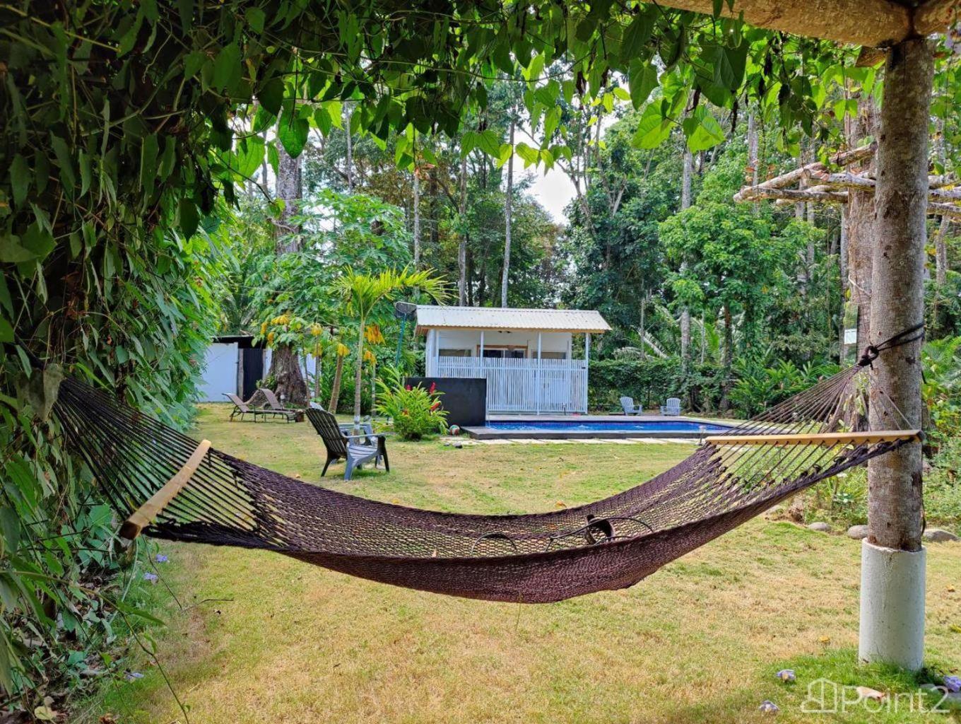 Olivia Del Caribe Suite Puerto Viejo de Talamanca Eksteriør billede