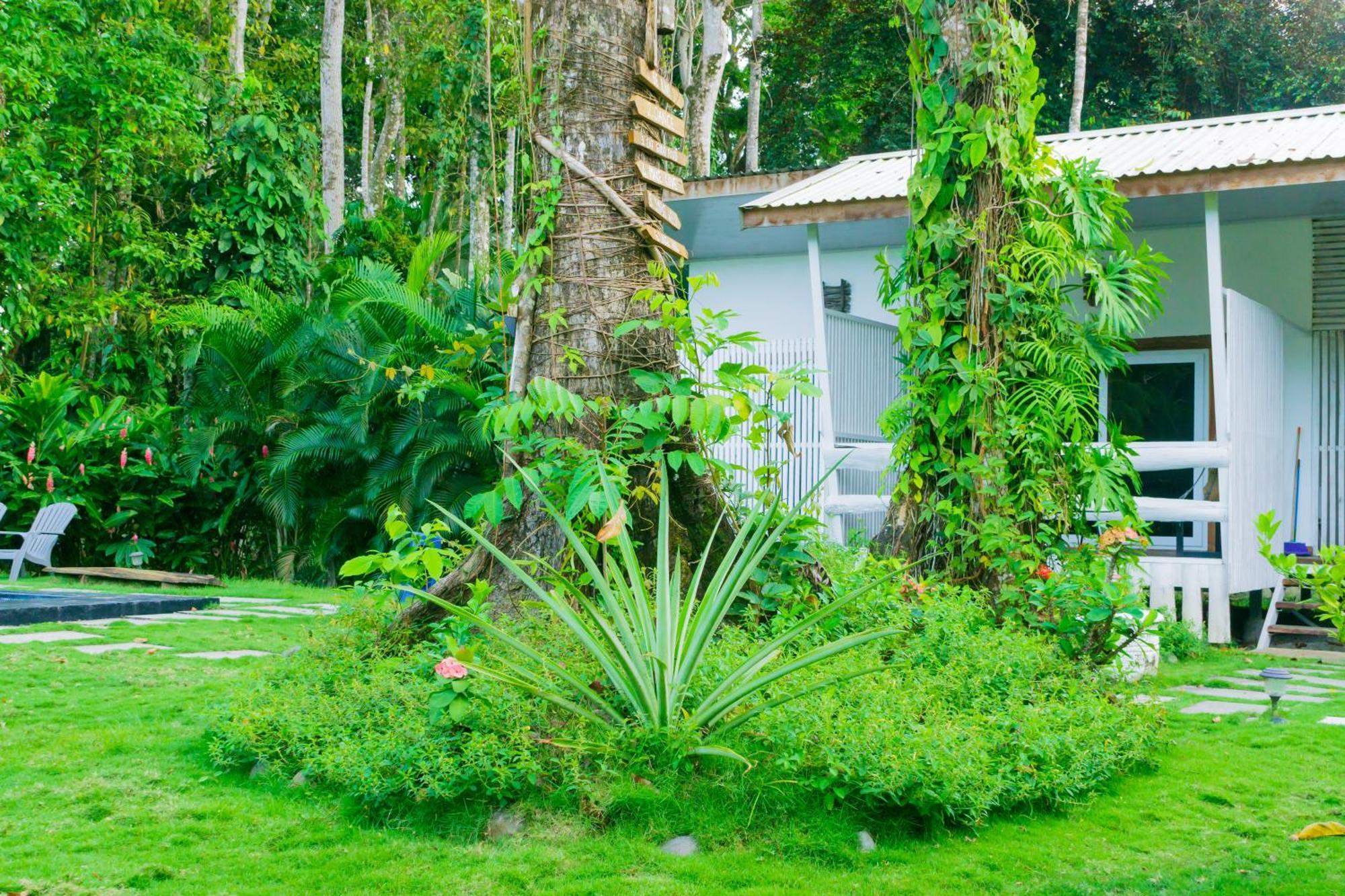 Olivia Del Caribe Suite Puerto Viejo de Talamanca Eksteriør billede