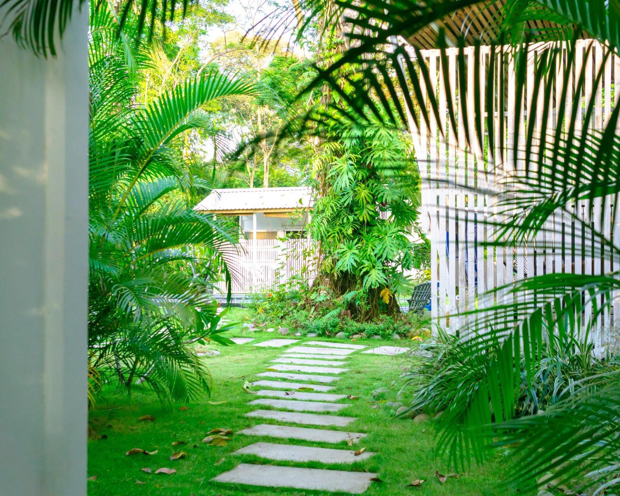 Olivia Del Caribe Suite Puerto Viejo de Talamanca Eksteriør billede