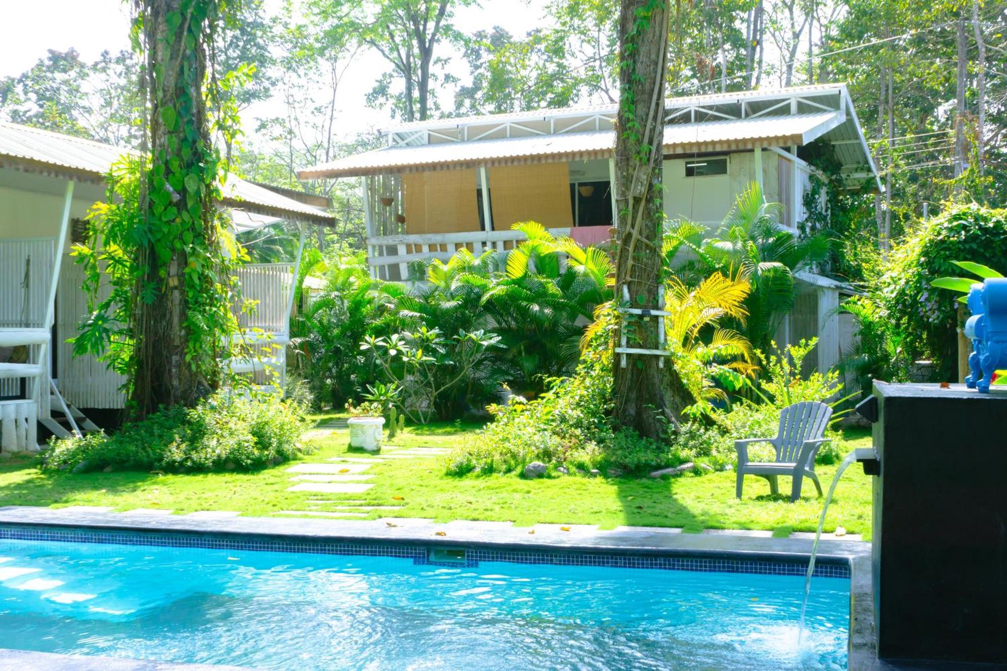Olivia Del Caribe Suite Puerto Viejo de Talamanca Eksteriør billede