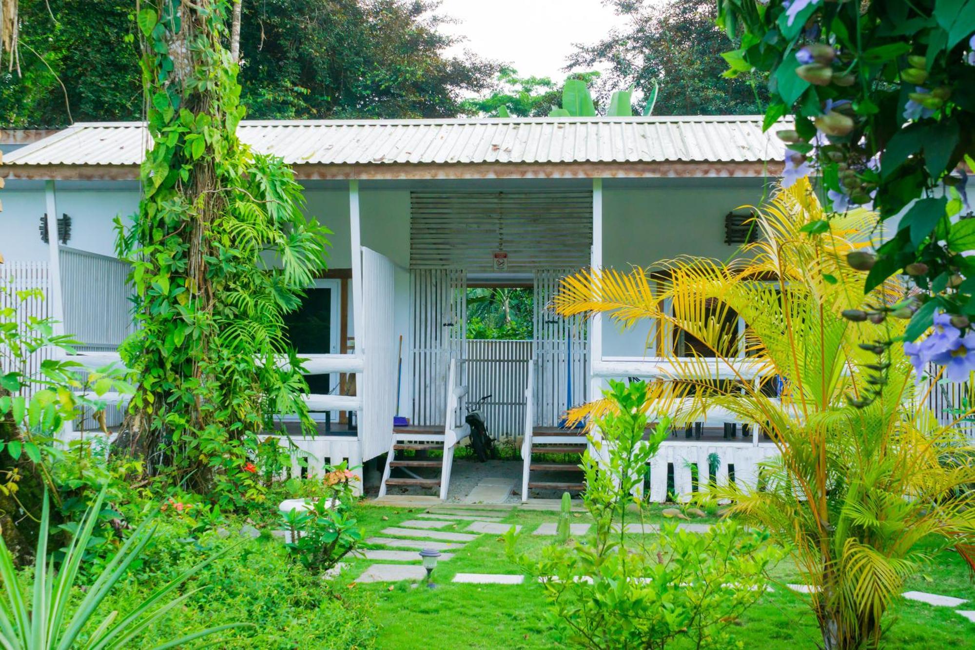 Olivia Del Caribe Suite Puerto Viejo de Talamanca Eksteriør billede