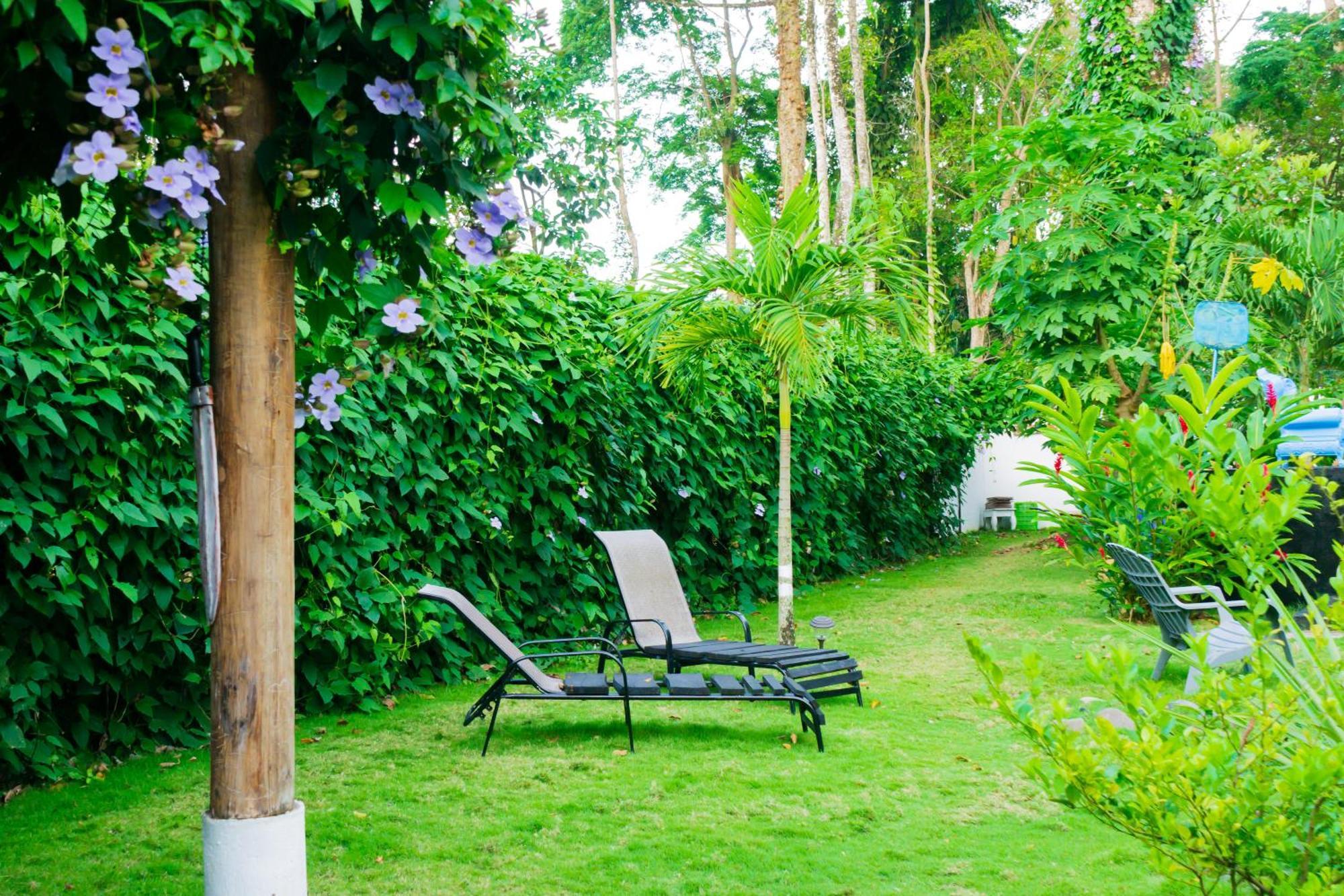 Olivia Del Caribe Suite Puerto Viejo de Talamanca Eksteriør billede